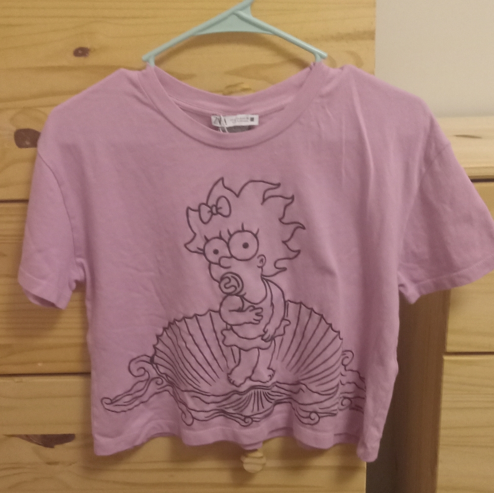 Zara Simpsons crop top